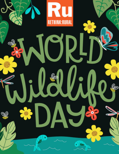 Digital: Social Media Illustration for ReThink Rural to celebrate World Wildlife Day