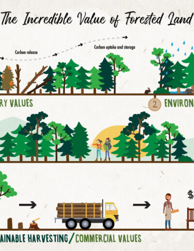 Digital: Infographic illustration for ReThink Rural